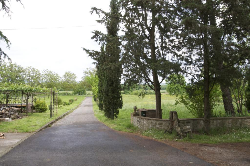 La Capanna Di Panpepato Villa Rosia Kamer foto